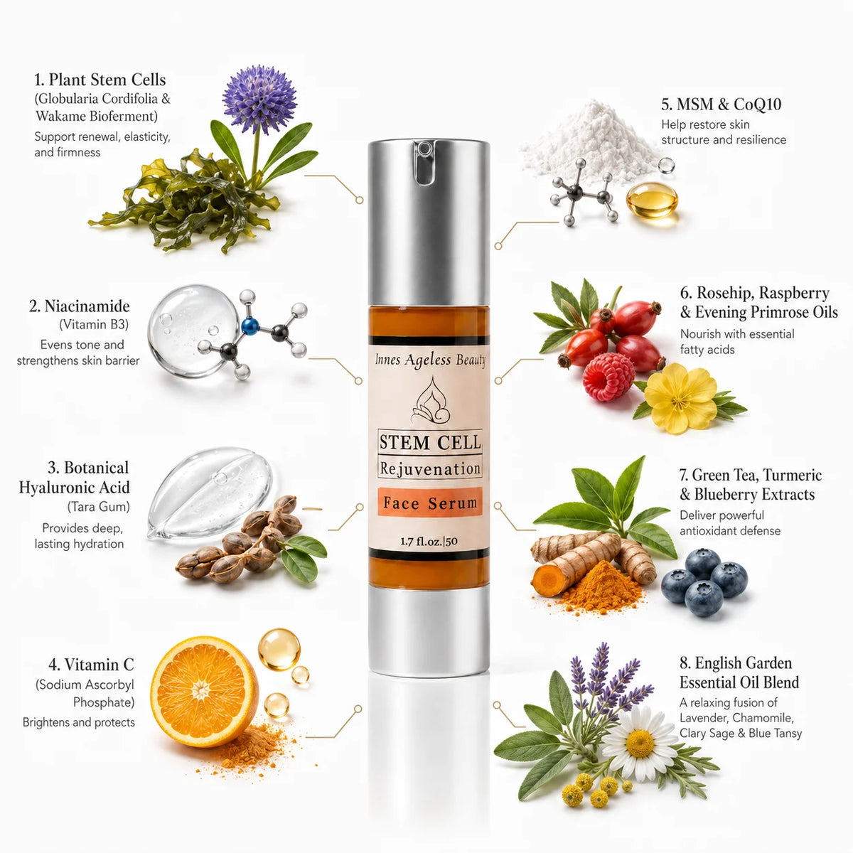 Stem Cell Rejuvenation Serum